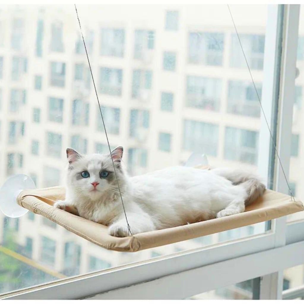 Cama Para Gato Suspensa de Janela com ventosas