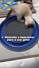 Arranhador para Gatos Redondo com Bolinha Interativo Relax Antiestresse Brinquedos para Gatos
