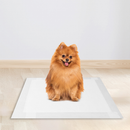 Tapete Higienico - Espaço de Bicho P/ Cães E Gatos 60x60 Com 30 uni