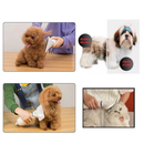 Secador De Pelo Escova Pente Pet Tosa Profissional Portátil 2 IN 1 Remove Pelos Cachorro Gato 110V