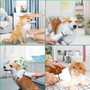 Secador De Pelo Escova Pente Pet Tosa Profissional Portátil 2 IN 1 Remove Pelos Cachorro Gato 110V