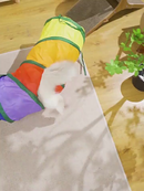 Brinquedo Para Pets Túnel Labirinto Para Gatos Colorido