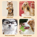 Kit Máquina Para Tosar Pet + Tesoura + Pente + Lixa Máquina Profissional Para Cachorro & Gato